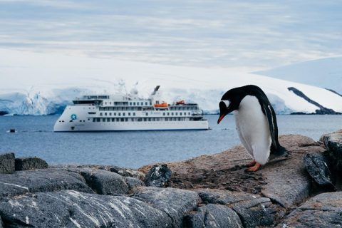 aurora antarctica 2027 28 season