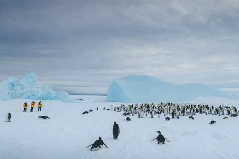 quark helicopter access emperor penguin colony