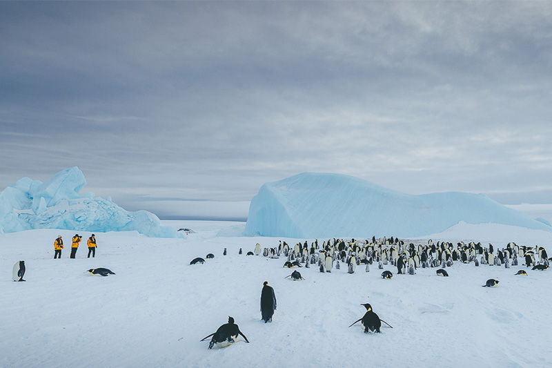 quark helicopter access emperor penguin colony