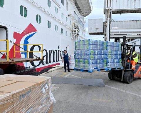 Carnival Horizon Loading Aid