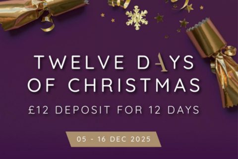 ambassador 12 days of christmas 2025
