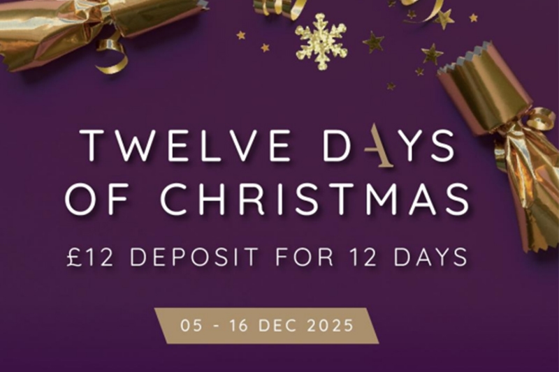 ambassador 12 days of christmas 2025