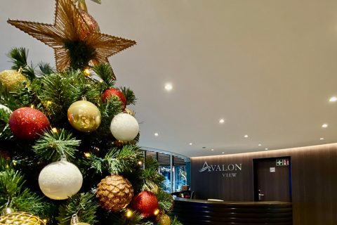 avalon waterways 2026 christmas departures