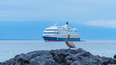 HX ship in the Galapagos