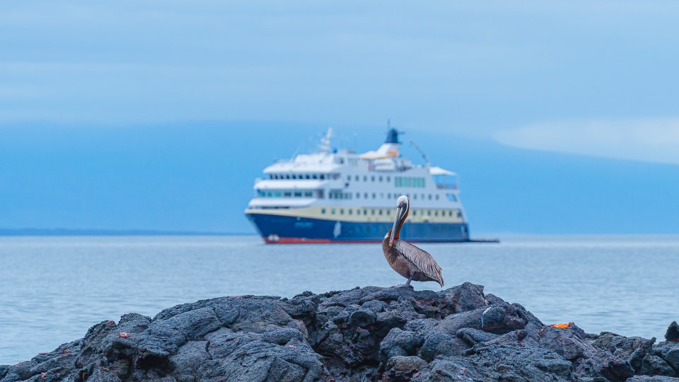 HX ship in the Galapagos