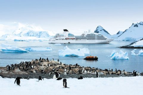 seabourn quest antarctica