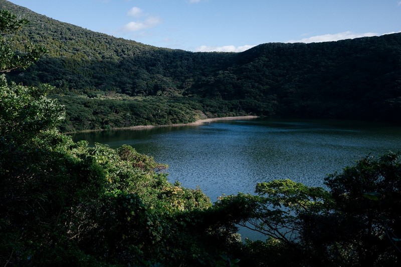 Resilient Miyakejima