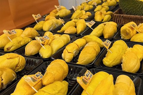 starcruises durian tasting experiences star voyager
