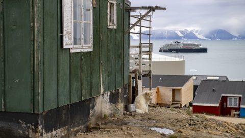 HX Ship in Greenland