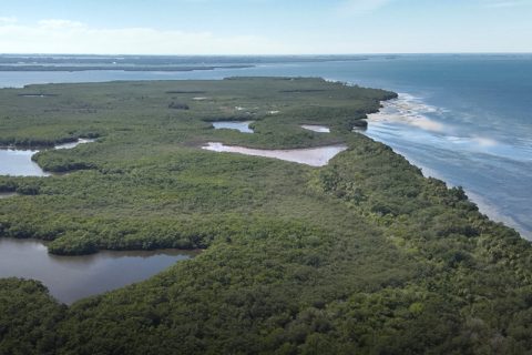 SSA Marine and Slip Knott LLC are exploring the development of a new cruise port adjacent to the Sunshine Skyway Bridge in Manatee County in Florida.