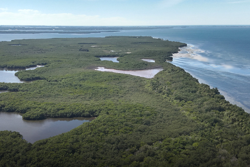 SSA Marine and Slip Knott LLC are exploring the development of a new cruise port adjacent to the Sunshine Skyway Bridge in Manatee County in Florida.