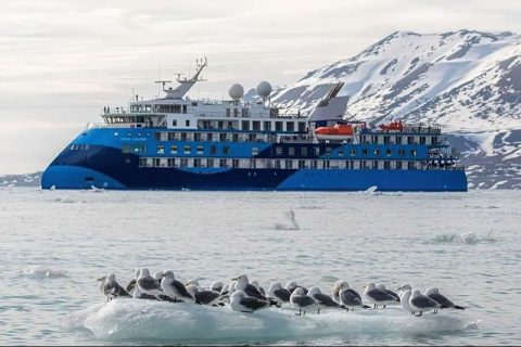 Ocean Albatros
