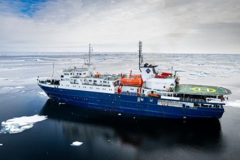 Oretelius