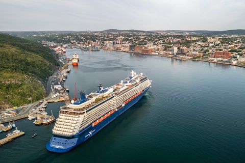 SJPA Celebrity Silhouette