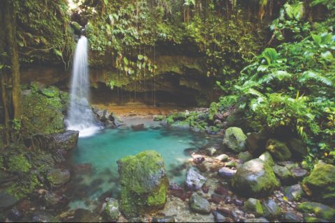 Emerald Pool Dominica