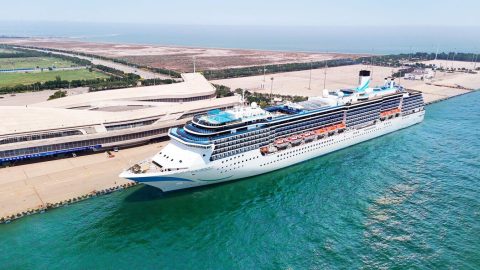 adora mediterranea 2