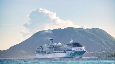 islander