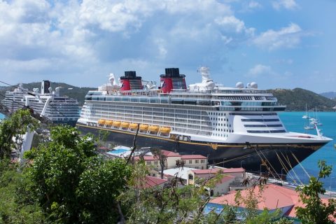 Disney Fantasy at WICO dock