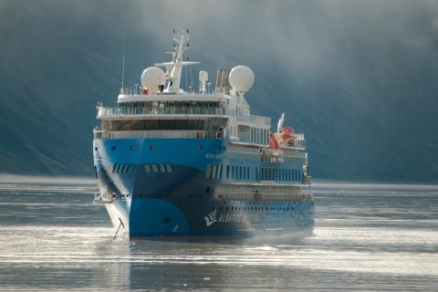 Ocean Albatros