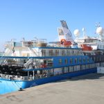 Ocean Albatros