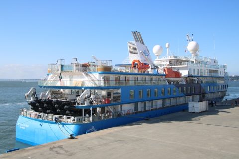 Ocean Albatros