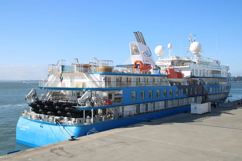 Ocean Albatros