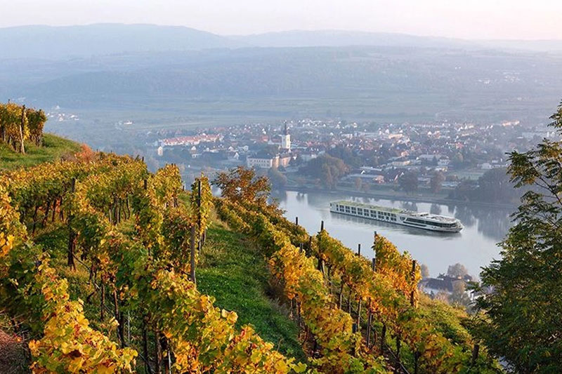 scenic jasper in wachau valley