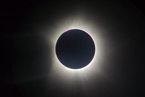Oceanwide Total Eclipse Sighting