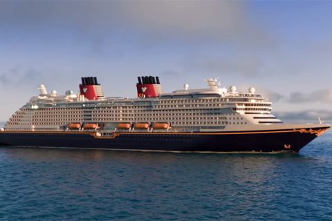 New Disney Concept