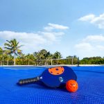 HAL Pickleball