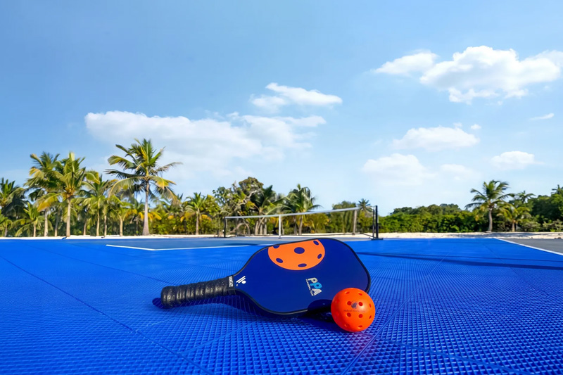 HAL Pickleball