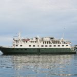 Safari Voyager