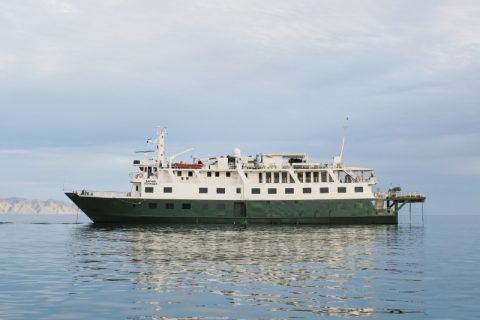 Safari Voyager