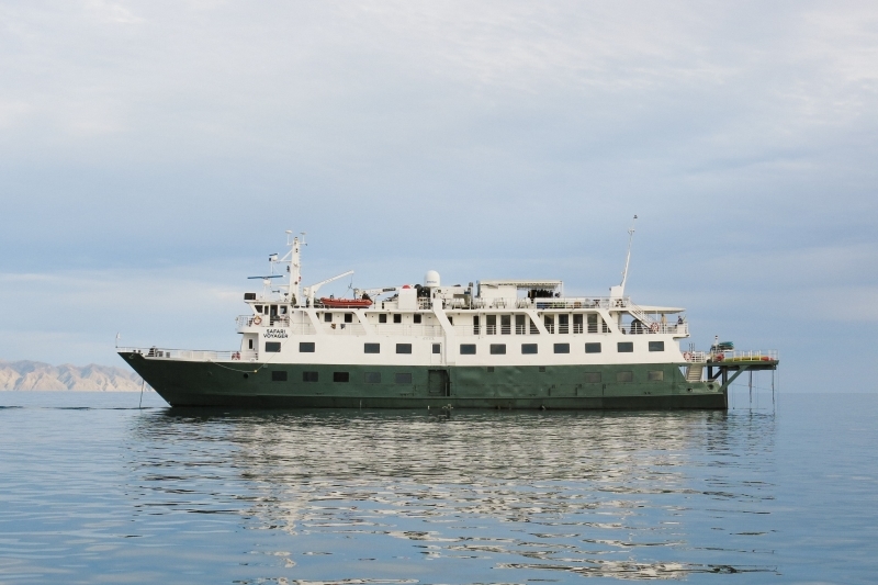 Safari Voyager