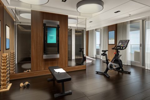 Skyview Regent suite gym