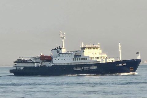 Plancius