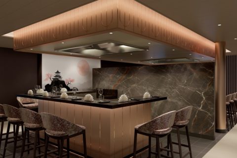 Teppanyaki Asia grill