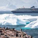 WNA Antarctica penguins