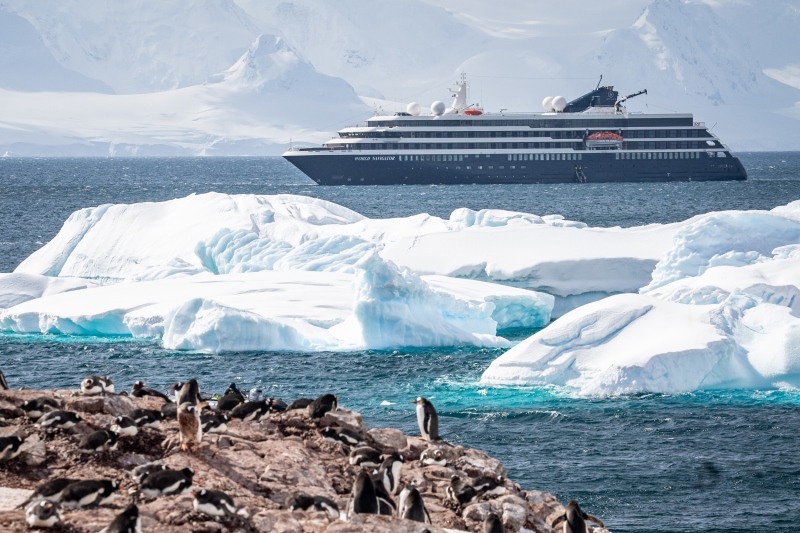 WNA Antarctica penguins